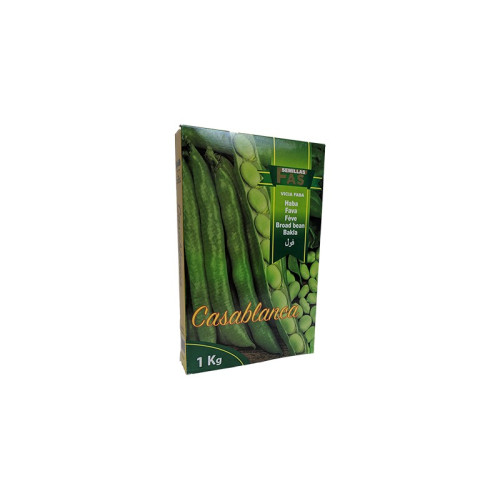 Fava Professionale Casablanca 1Kg