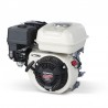 Motocompressore Lisam LM 300/10 Honda GP160