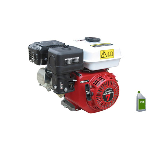 Motore a Benzina TrinAgria M208BSV 208cc completo Euro V