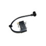 Accensione Elettronica motosega Echo CS330T, CS360T compatibile