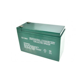 Batteria al litio da 12v a 8ah Burg, Trinagria compatbile
