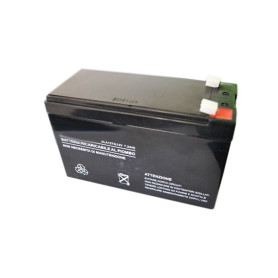 Batteria al litio da 12v a 8ah Burg, Trinagria compatbile