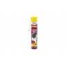 Insetticida per vespe spray in schiuma Zapi 750 ml