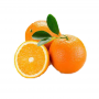 Pianta di Arancio Vaniglia (Citrus Sinensis) in Fitocella