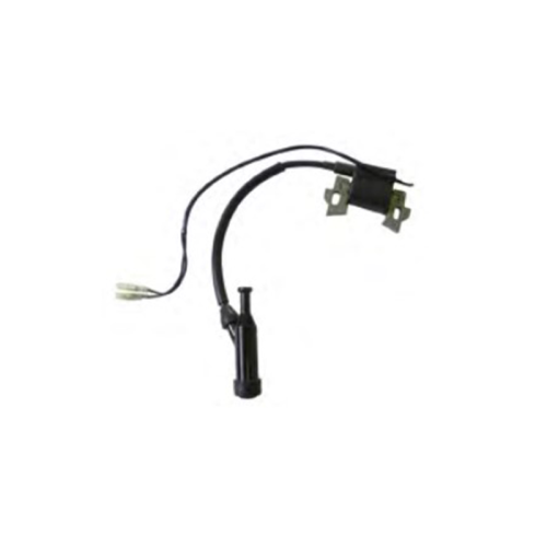 Accensione elettronica per motore Zanetti ZBM240, ZBM270 originale