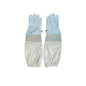 Guanti in pelle Budget tg 9