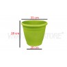 Pianta di Arancio Navel Cara Cara in Vaso verde anice da 35 cm
