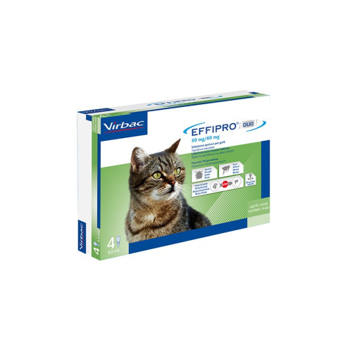 Effipro soluzione doppia azione per gatti- 4 Fiale
