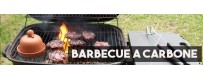 Barbecue a Carbone