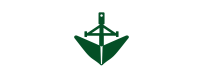 Assolcatore